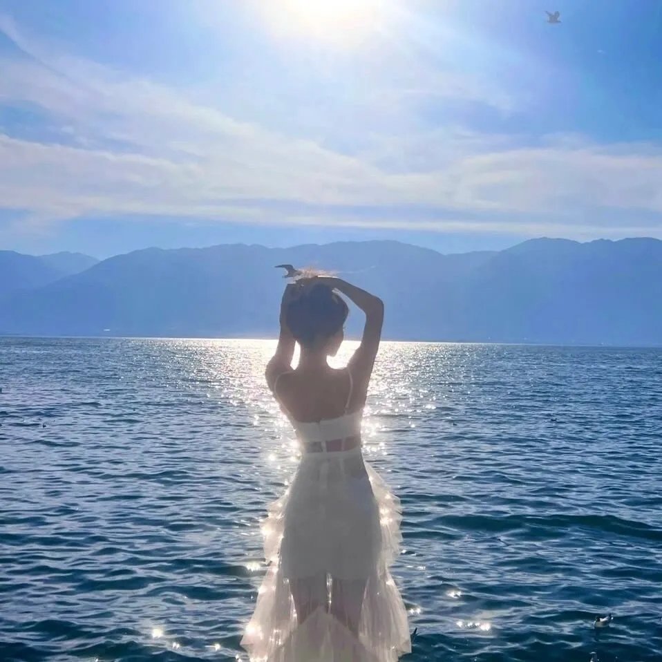 绝对隐私 海报